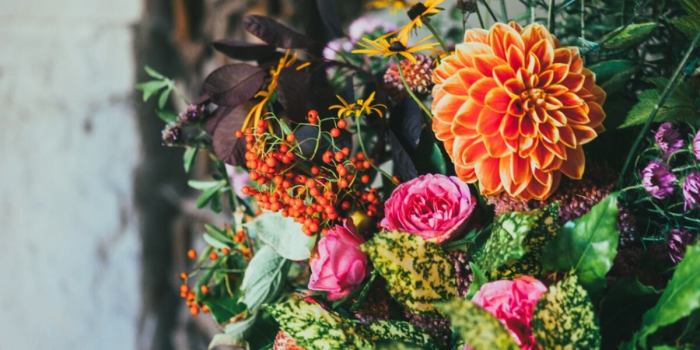 Louisiana florist license study guide