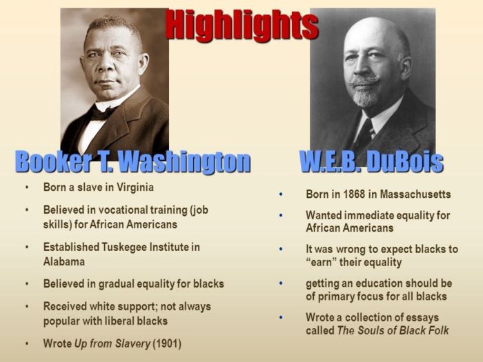 Similarities between dubois and washington